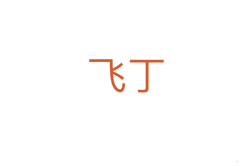飞丁