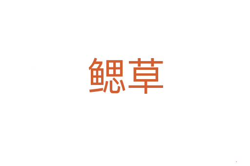 鳃草