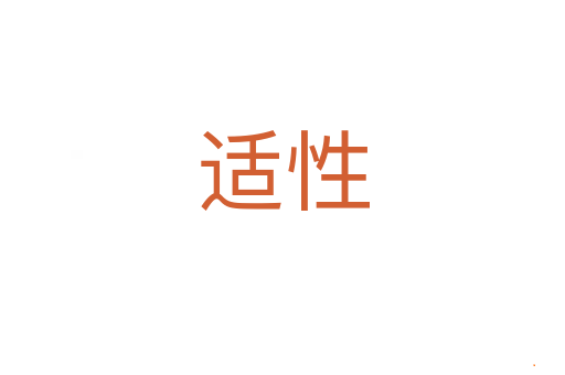 适性