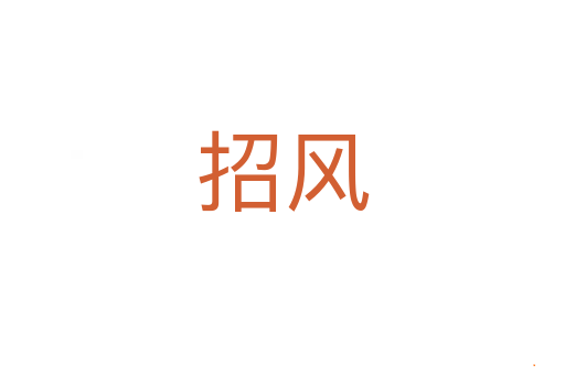 招风