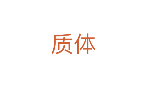 质体