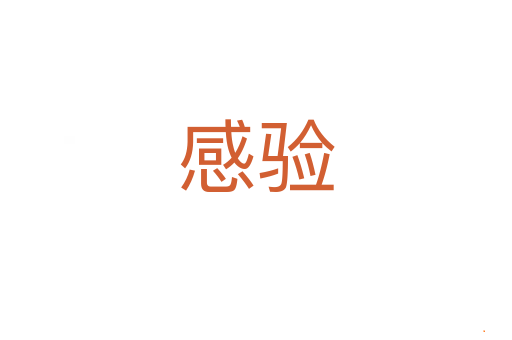 感验