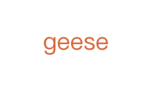geese