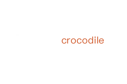 crocodile