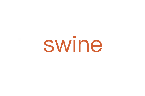 swine