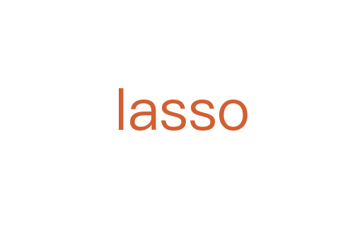 lasso