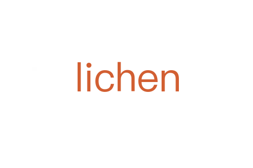 lichen