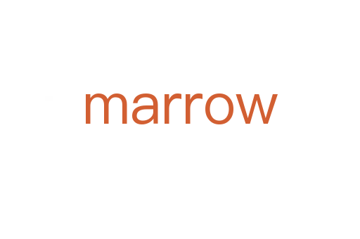 marrow
