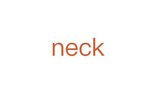 neck