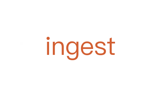 ingest
