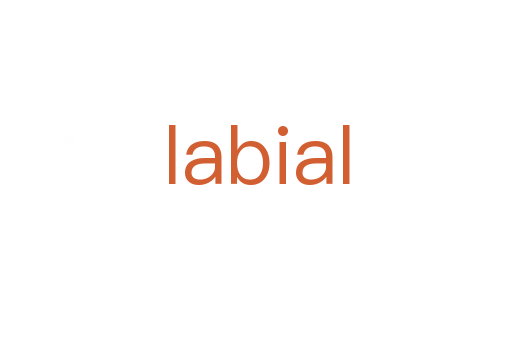labial