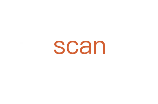 scan