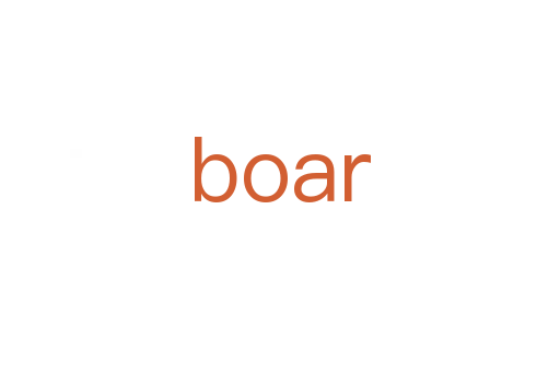 boar