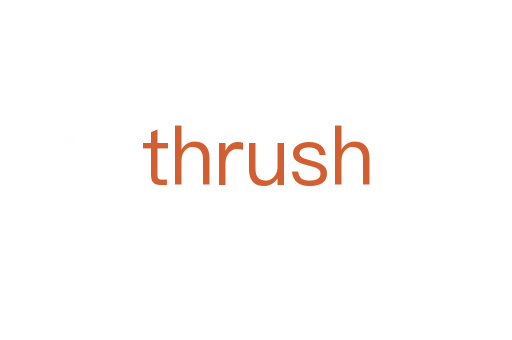 thrush