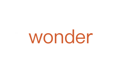 wonder