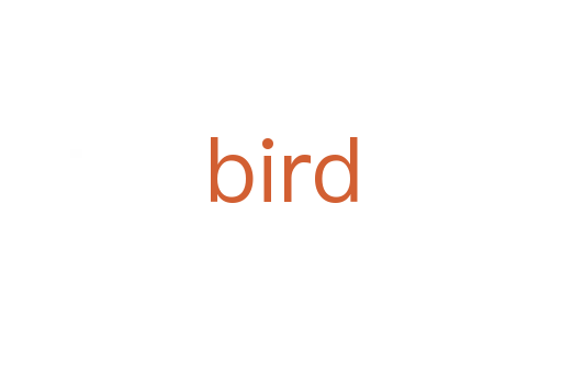 bird