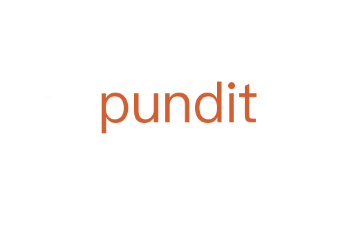 pundit