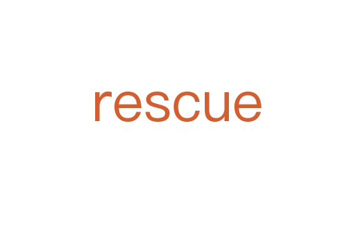 rescue