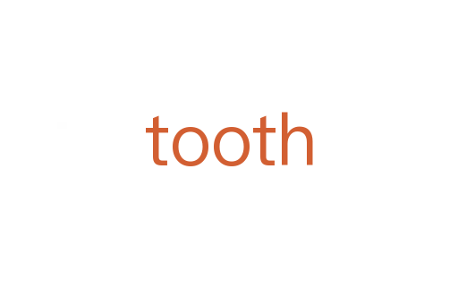 tooth