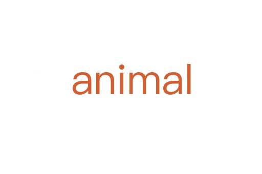 animal