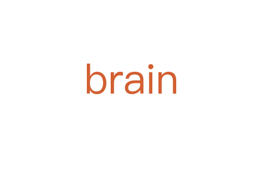 brain