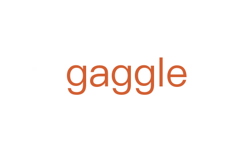 gaggle