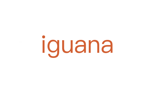 iguana