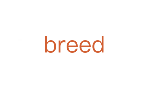 breed