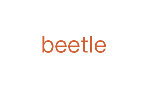beetle