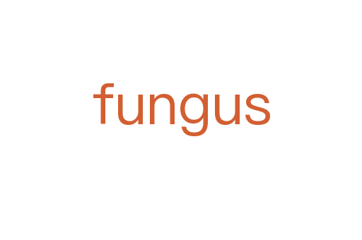 fungus